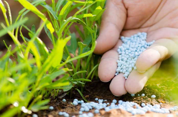 Unearthing Growth: The Vital Role of Fertilizer Manufacturers