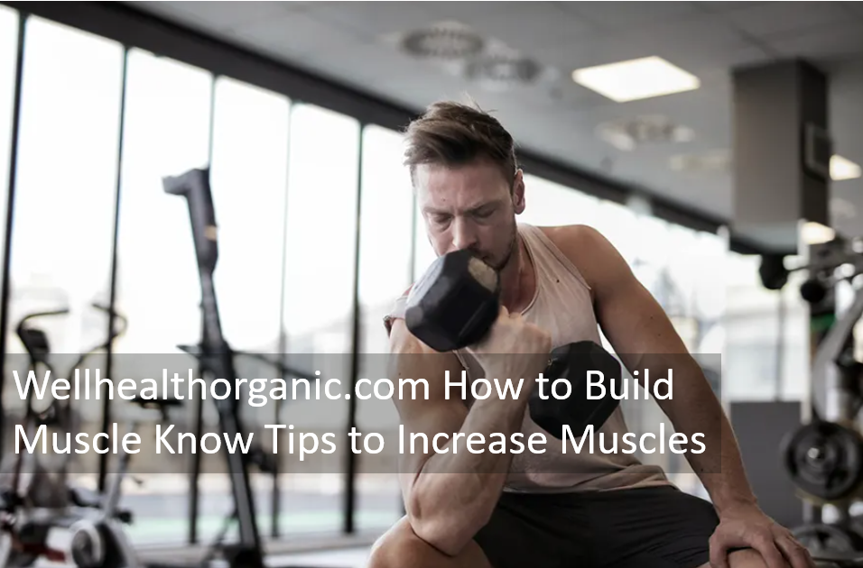 Wellhealthorganic.com How to Build Muscle Know Tips to Increase Muscles